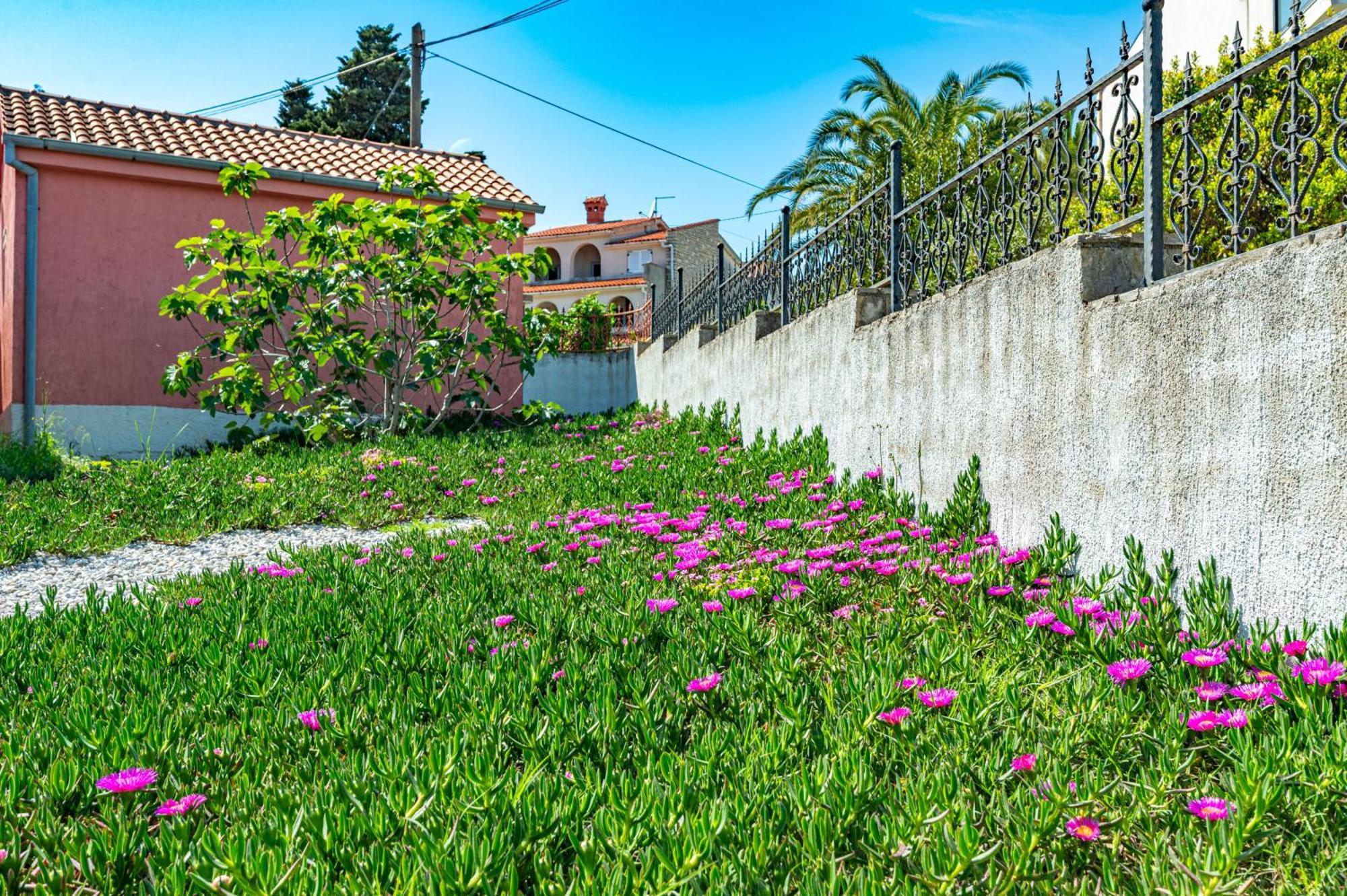 Villa Valentina Premantura Exterior photo